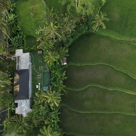 Hatiku Di Bali - Ubud Tegallalang  Eksteriør billede