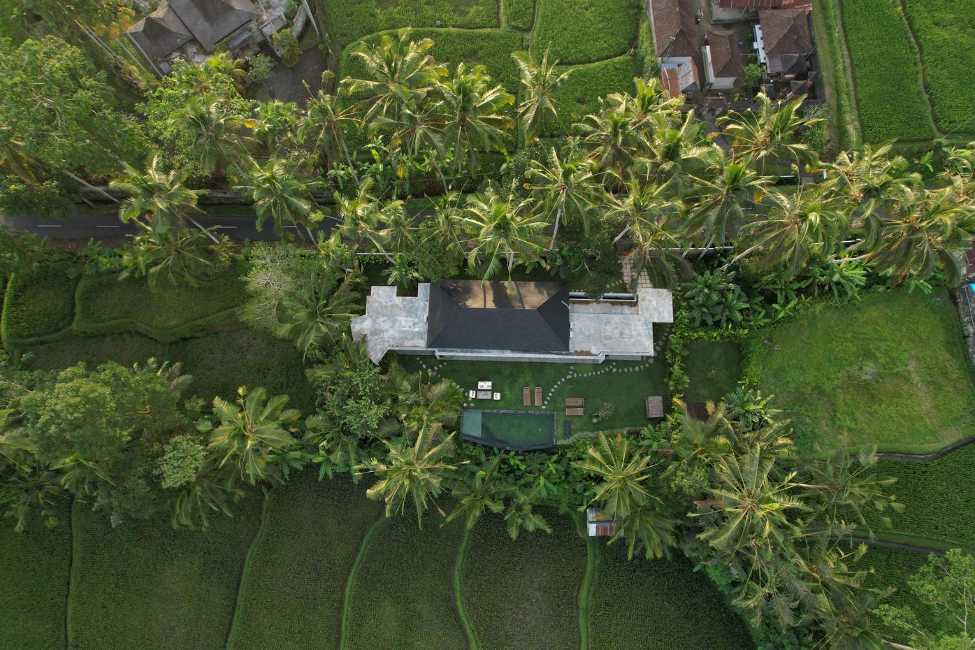Hatiku Di Bali - Ubud Tegallalang  Eksteriør billede